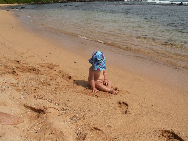 IMG_101.jpg  (51.0 Kb)