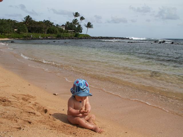 IMG_111.jpg  (43.1 Kb)