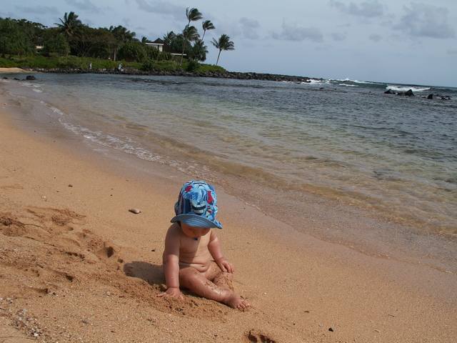 IMG_112.jpg  (45.3 Kb)