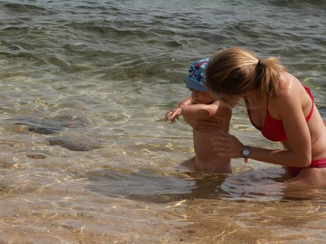 IMG_141.jpg  (49.4 Kb)