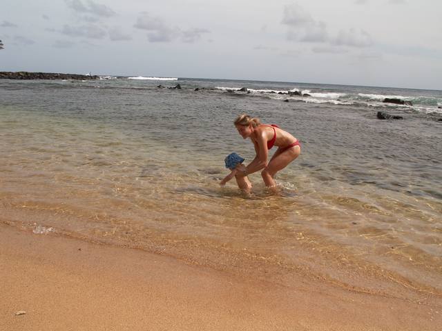 IMG_145.jpg  (39.7 Kb)