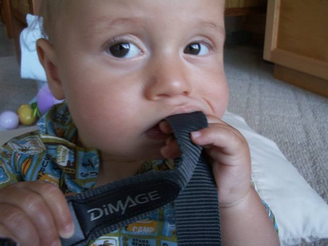 IMG_16.jpg  (29.4 Kb)