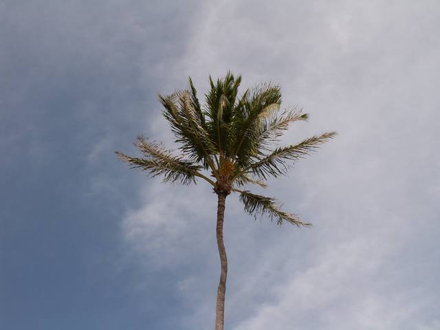 IMG_160.jpg  (20.9 Kb)