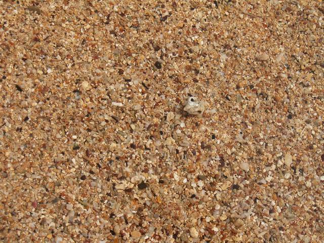 IMG_184.jpg  (95.2 Kb)