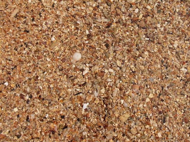 IMG_185.jpg  (97.4 Kb)