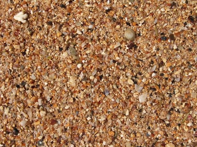 IMG_186.jpg  (100.3 Kb)