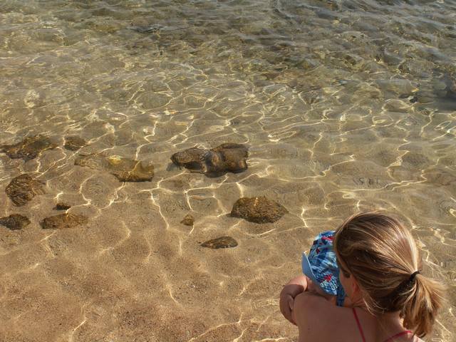 IMG_187.jpg  (60.1 Kb)