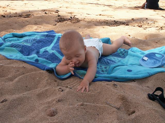 IMG_198.jpg  (62.1 Kb)