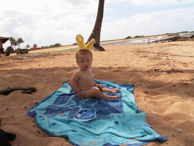 IMG_199.jpg  (50.5 Kb)