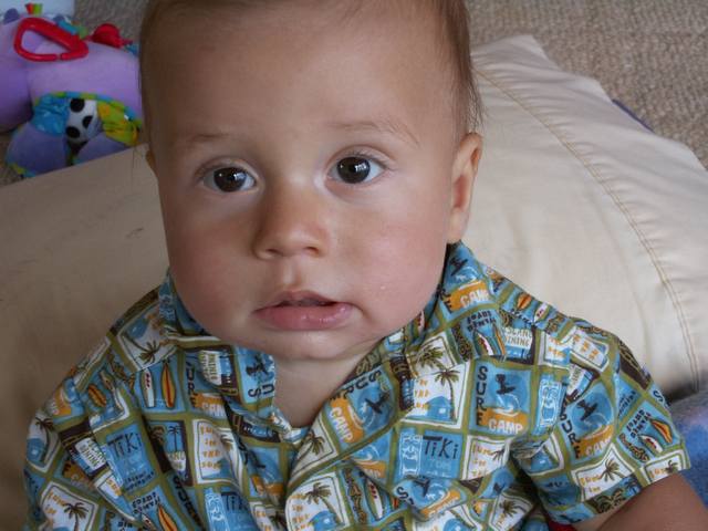 IMG_2.jpg  (42.4 Kb)