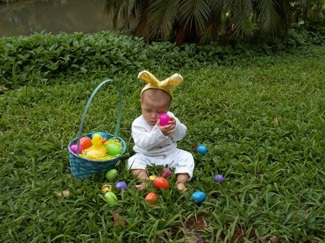 IMG_204.jpg  (75.1 Kb)