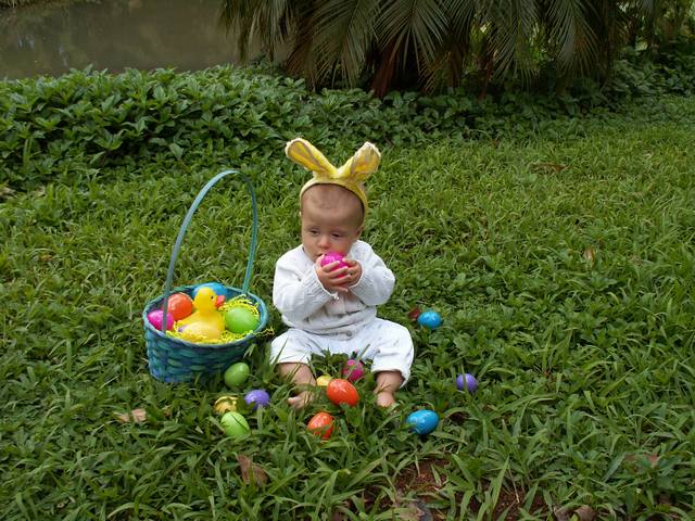 IMG_205.jpg  (76.5 Kb)