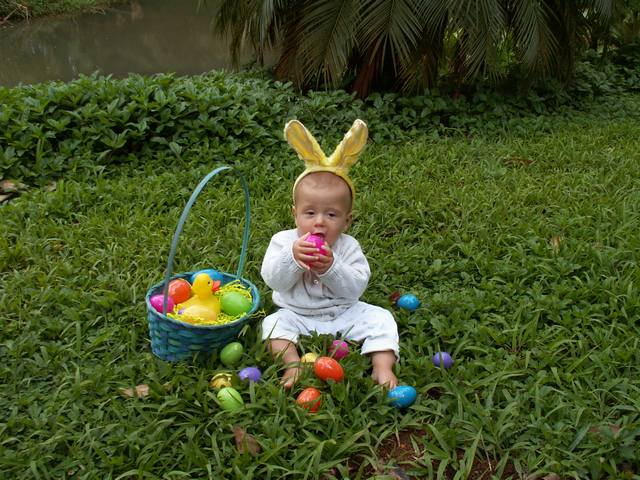 IMG_206.jpg  (72.3 Kb)