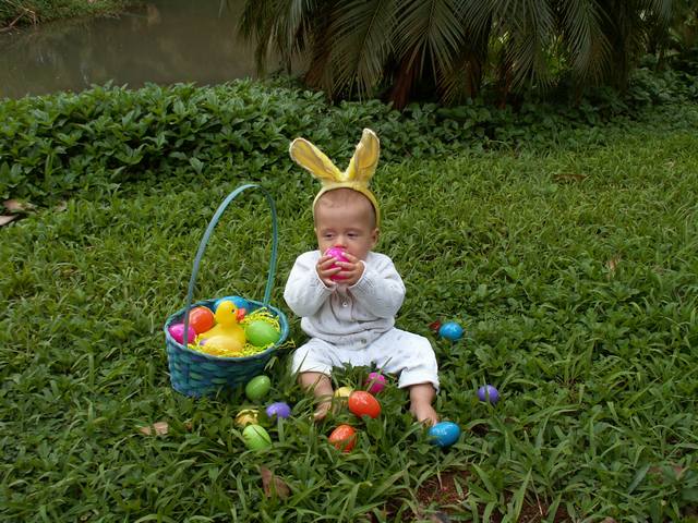 IMG_207.jpg  (72.6 Kb)