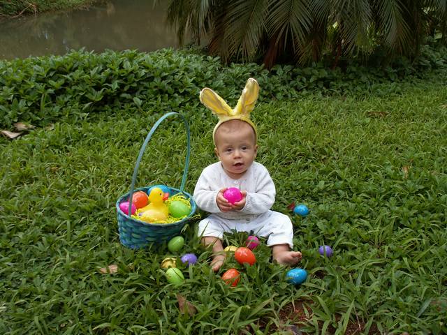 IMG_208.jpg  (74.5 Kb)