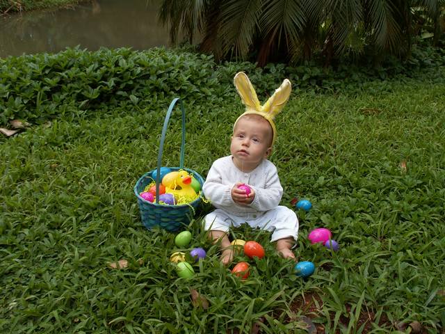 IMG_211.jpg  (72.1 Kb)