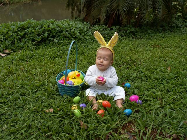 IMG_212.jpg  (72.6 Kb)