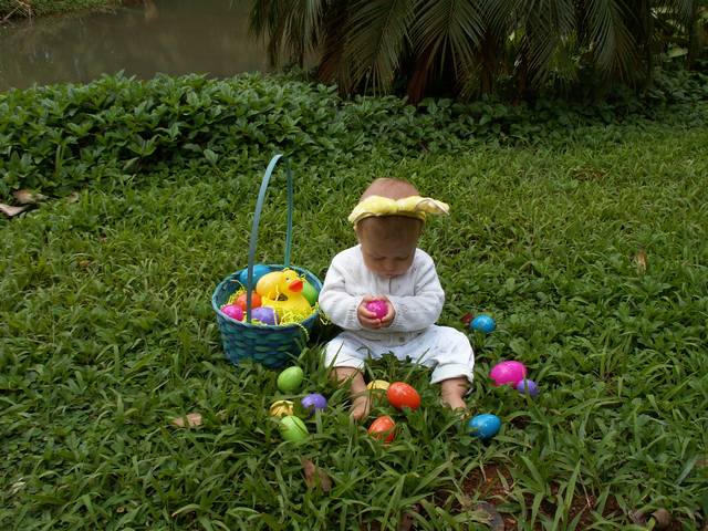 IMG_213.jpg  (72.2 Kb)