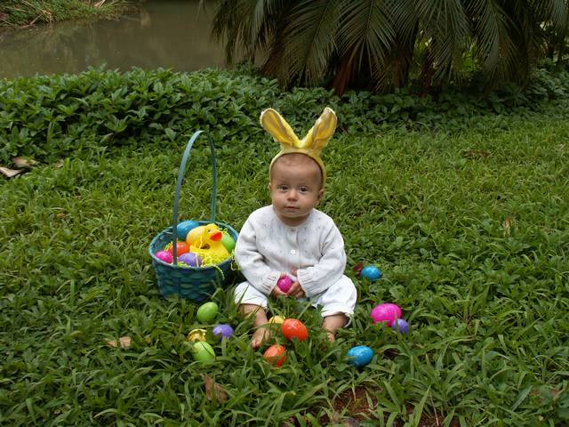 IMG_216.jpg  (73.1 Kb)