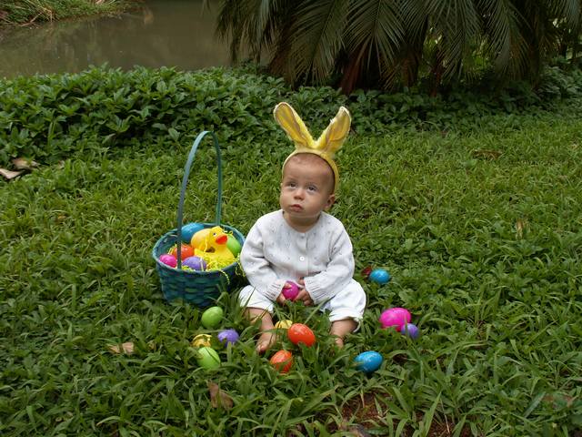 IMG_217.jpg  (72.8 Kb)