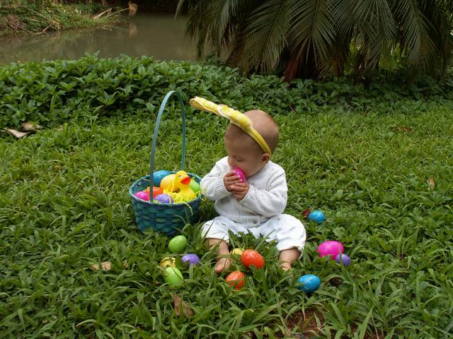 IMG_219.jpg  (74.9 Kb)