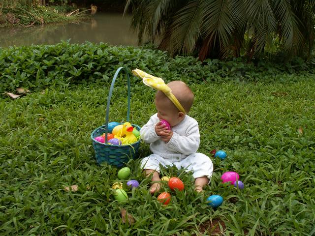 IMG_220.jpg  (74.2 Kb)