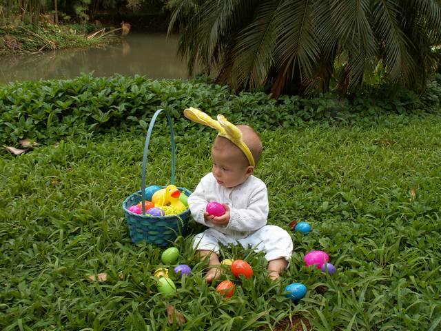 IMG_222.jpg  (74.7 Kb)