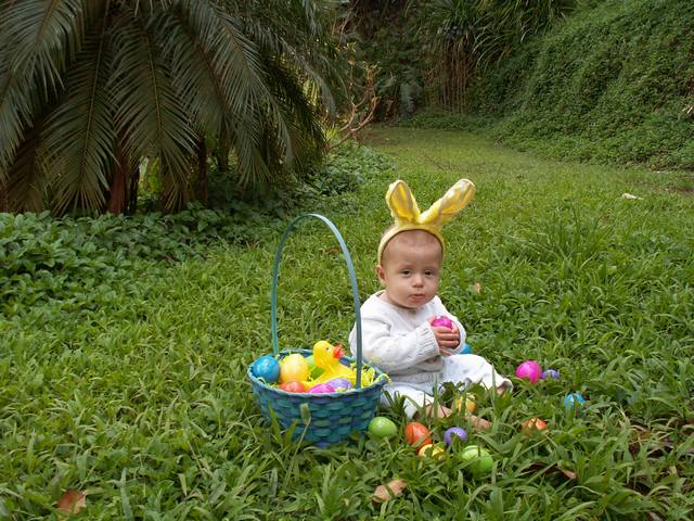 IMG_224.jpg  (76.6 Kb)