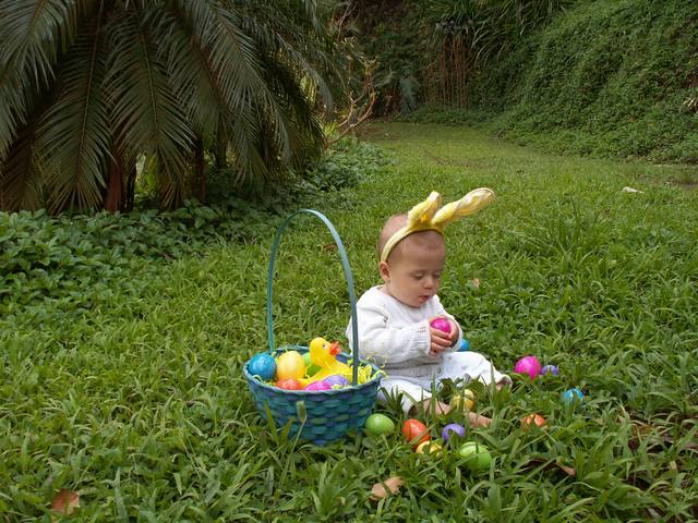 IMG_225.jpg  (75.4 Kb)