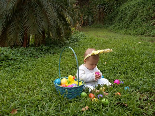 IMG_226.jpg  (75.0 Kb)