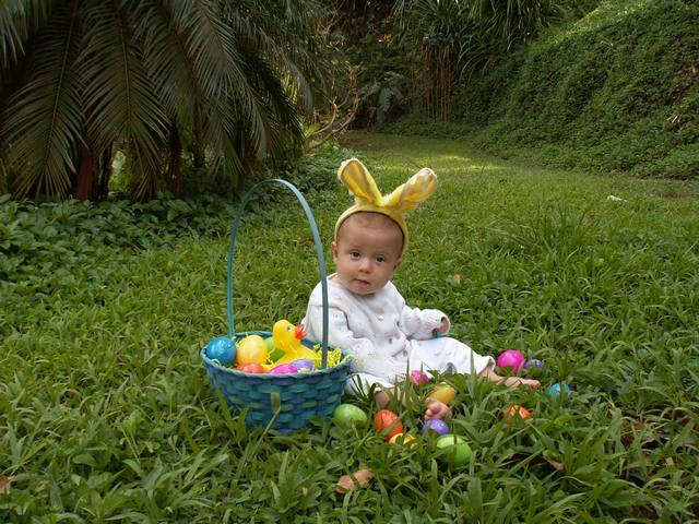 IMG_227.jpg  (72.6 Kb)