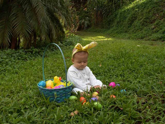 IMG_229.jpg  (70.3 Kb)