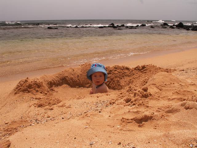 IMG_23.jpg  (56.2 Kb)