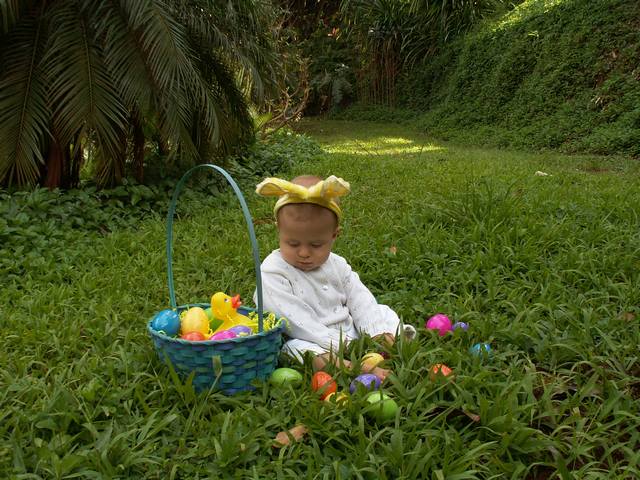 IMG_230.jpg  (70.5 Kb)