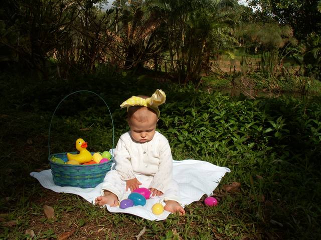 IMG_231.jpg  (62.0 Kb)