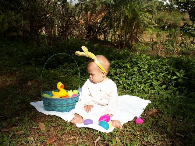 IMG_233.jpg  (73.4 Kb)