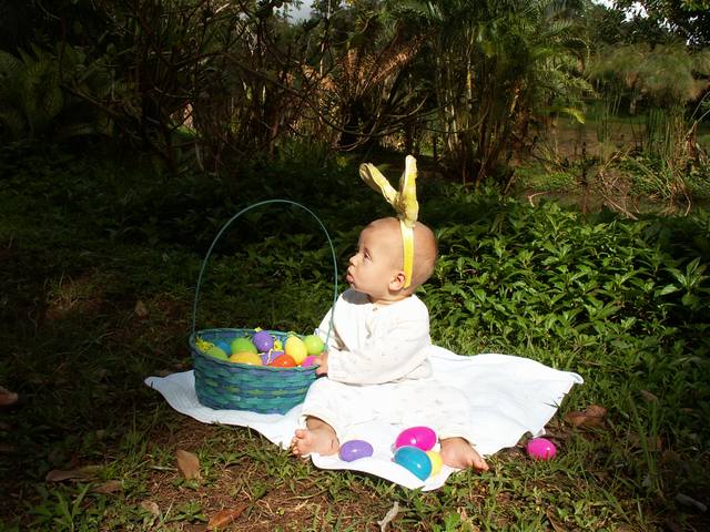 IMG_234.jpg  (66.6 Kb)