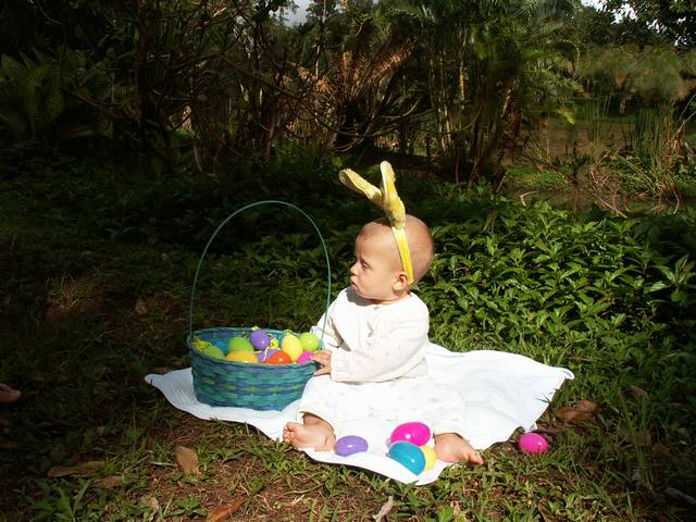 IMG_235.jpg  (64.8 Kb)