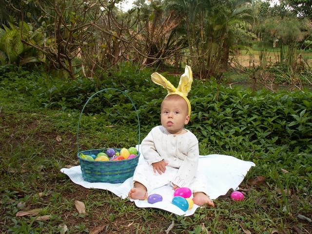 IMG_236.jpg  (78.2 Kb)