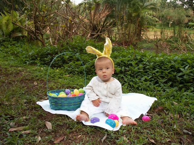 IMG_238.jpg  (79.6 Kb)