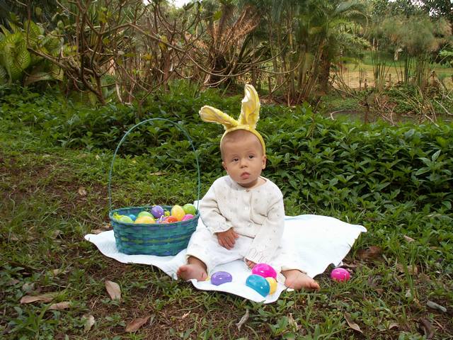 IMG_239.jpg  (80.2 Kb)