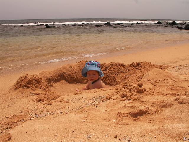 IMG_24.jpg  (57.2 Kb)