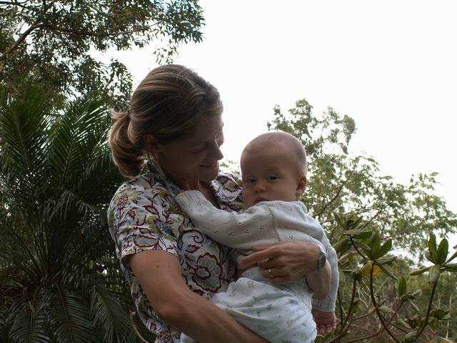 IMG_240.jpg  (57.9 Kb)