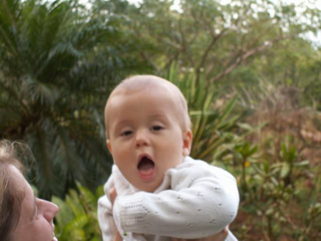 IMG_242.jpg  (32.4 Kb)