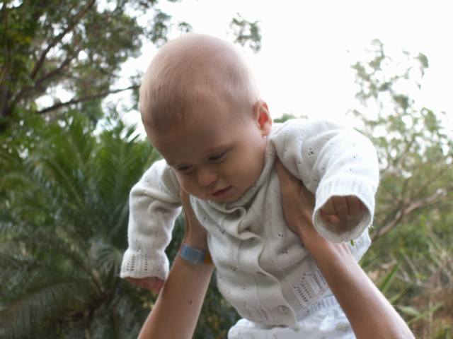 IMG_243.jpg  (33.9 Kb)