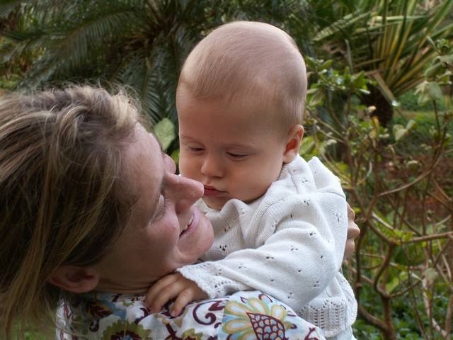 IMG_244.jpg  (46.7 Kb)