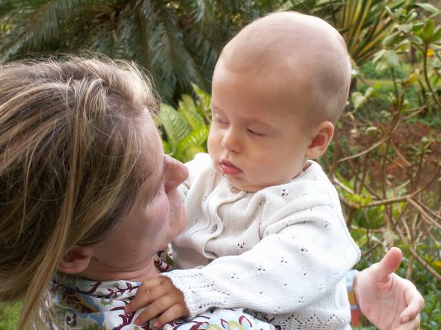 IMG_245.jpg  (48.2 Kb)