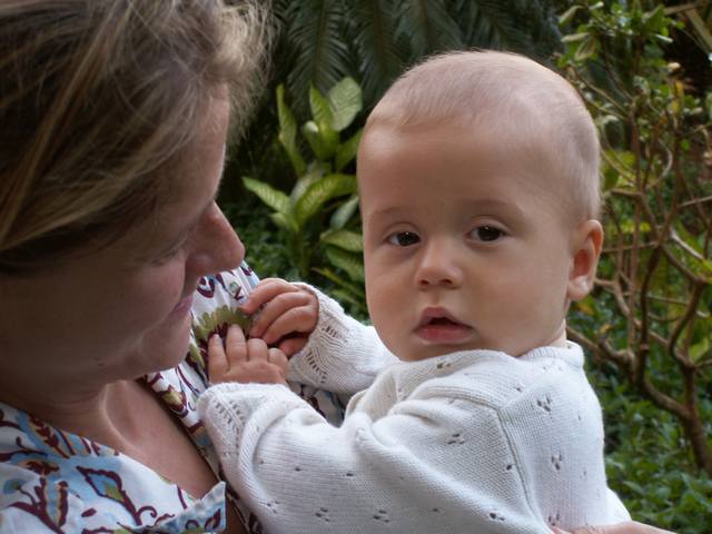 IMG_247.jpg  (42.0 Kb)