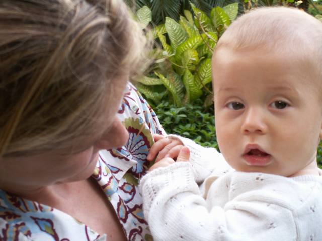 IMG_248.jpg  (36.7 Kb)