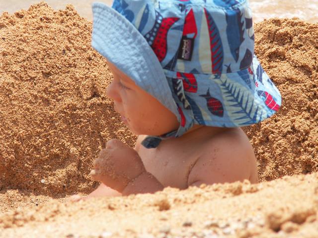 IMG_25.jpg  (66.4 Kb)